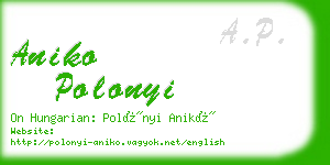 aniko polonyi business card